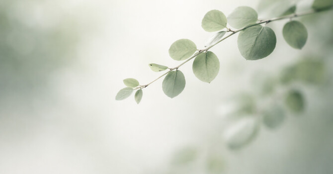 Semaglutide Weight Loss Therapy