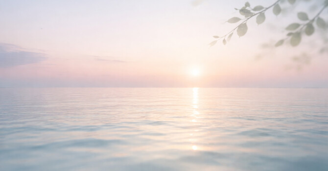 Hormone Optimization