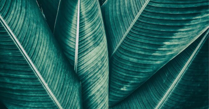 Welcome to Equivalence Wellness: Precision Health on Your Terms image