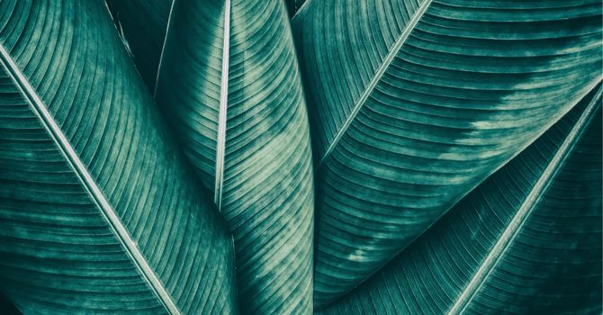 Semaglutide vs. Tirzepatide: Choosing the Right Path to Sustainable Weight Loss image