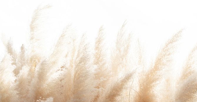 Welcome to Equivalence Wellness: Precision Health on Your Terms image