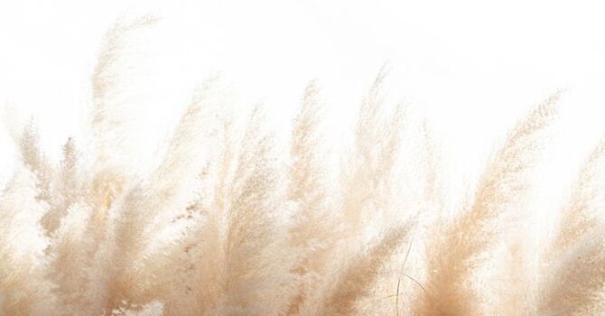 Anastrozole vs Clomid vs Enclomiphene image