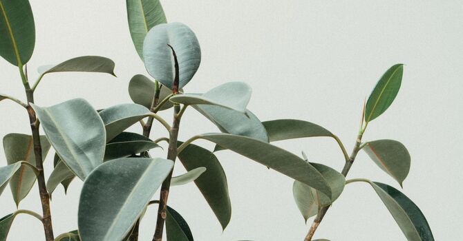 Welcome to Equivalence Wellness: Precision Health on Your Terms image